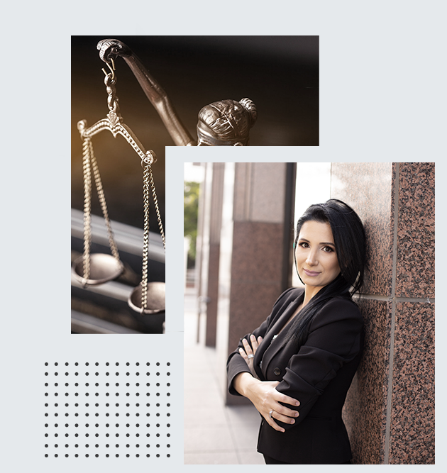 Meline Mailyan Law firm